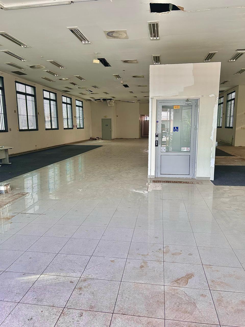 Galpão, 1226m² - Vila Guilherme/SP - Foto 6